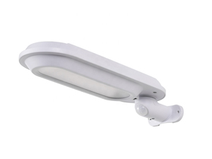 Solar Security Light-RB-2021